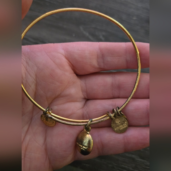 Alex & Ani June Stone Charm Bangle - Picture 2 of 2